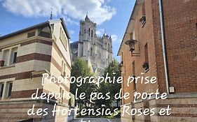 Les Hortensias Blancs Studio