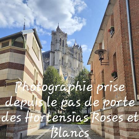 Les Hortensias Blancs Studio Amiens Extérieur photo