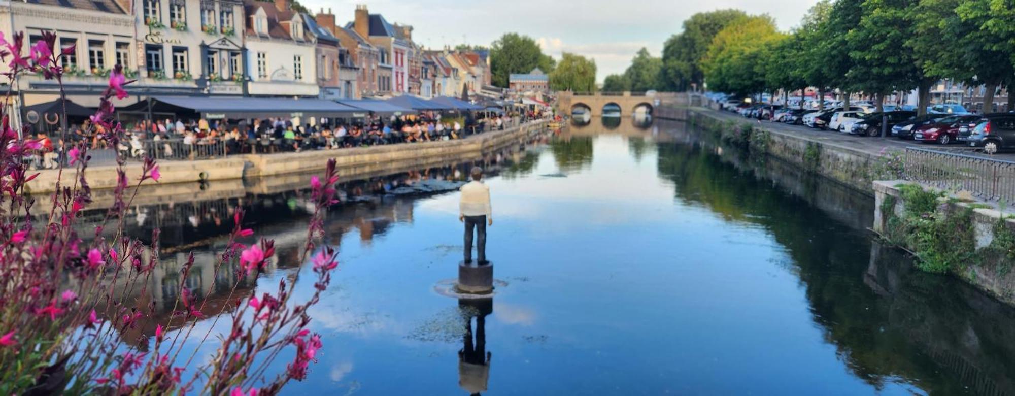 Les Hortensias Blancs Studio Amiens Extérieur photo