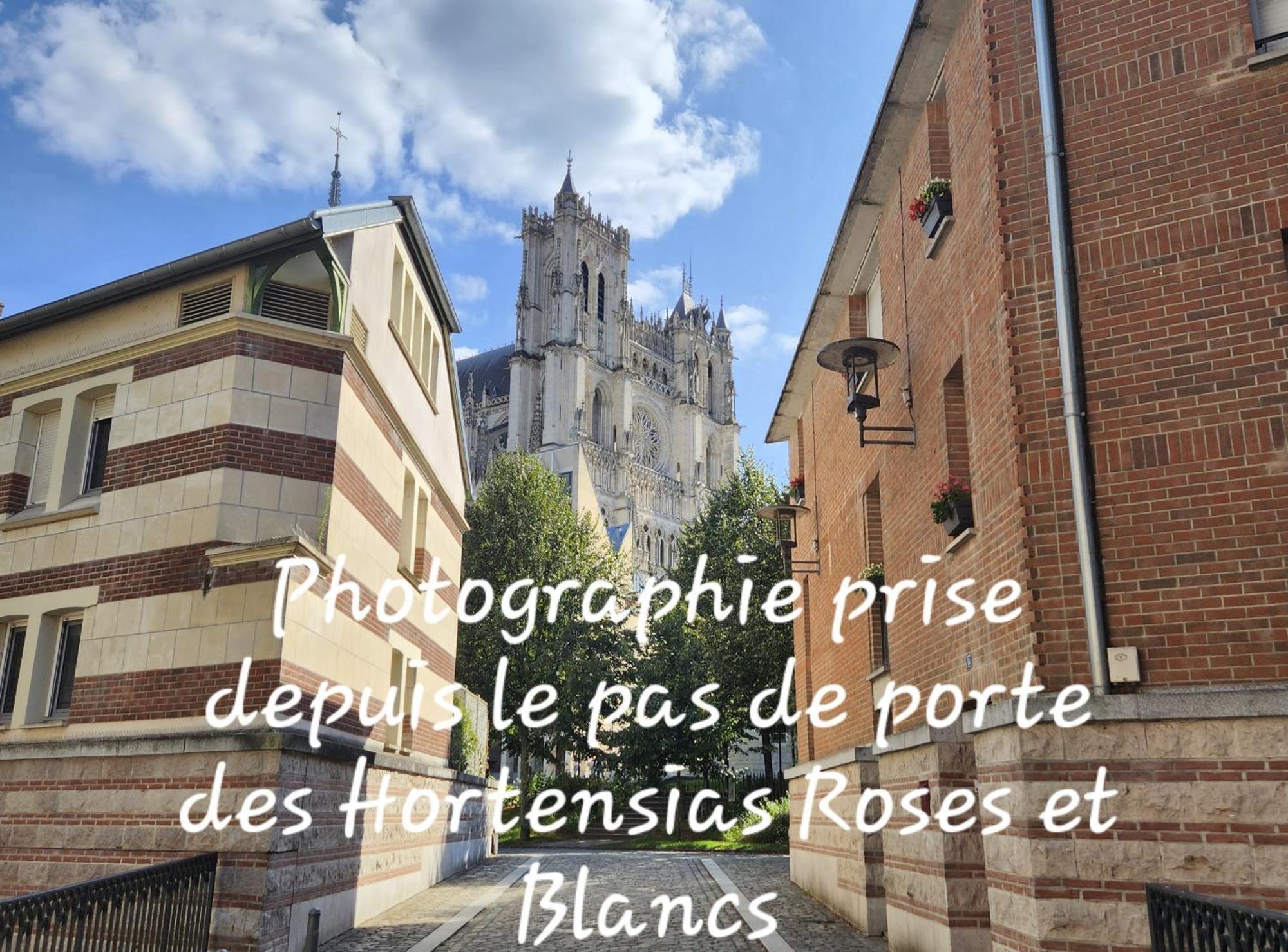 Les Hortensias Blancs Studio Amiens Extérieur photo
